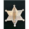 Image 2 : LASSEN CO. DEPUTY SHERIFF BADGE
