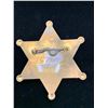 Image 2 : LIVE WIRES COUNTY SHERIFF BADGE