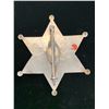 Image 2 : NEVADA COUNTY DEPUTY SHERIFF BADGE