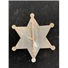 Image 2 : LAKE CO. DEPUTY SHERIFF BADGE