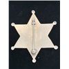 Image 2 : DEPUTY US MARSHAL BADGE