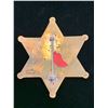 Image 2 : DEPUTY US MARSHAL BADGE