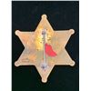 Image 2 : DEPUTY US MARSHAL BADGE