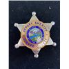 Image 1 : STATE OF SOUTH DAKOTA PIERRE COUNTY DEPUTY SHERIFF BADGE