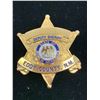 Image 1 : STATE OF NEW MEXICO EDDY COUNTY DEPUTY SHERIFF BADGE