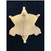 Image 2 : STATE OF NEW MEXICO EDDY COUNTY DEPUTY SHERIFF BADGE