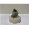 Image 2 : QUARTZ WITH BLACK TOURMALINE MATRIX RETAIL $1,200