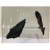 Image 2 : KYANITE DISPLAY RETAIL $1,400