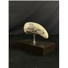 Image 1 : Early Maritime Scrimshaw Whales Tooth/Tusk on Stand - Artisted Numbered