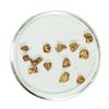 Image 1 : Gold Nuggets 1.92 Grams Total Weight