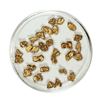 Gold Nuggets 4.77 Grams Total Weight