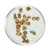 Gold Nuggets 3.72 Grams Total Weight
