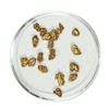 Image 1 : Gold Nuggets 2.90 Grams Total Weight