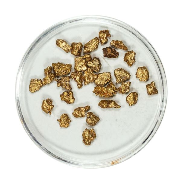 Gold Nuggets 4.77 Grams Total Weight