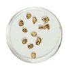 Image 1 : Gold Nuggets 1.84 Grams Total Weight