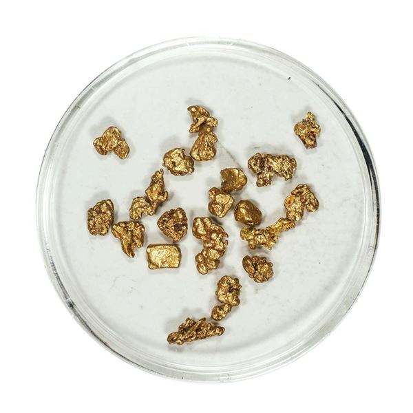 Gold Nuggets 2.89 Grams Total Weight