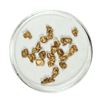 Image 1 : Gold Nuggets 2.89 Grams Total Weight