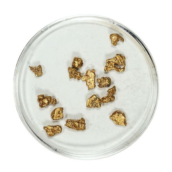 Gold Nuggets 2.61 Grams Total Weight