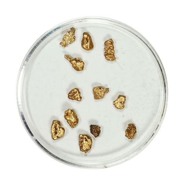 Gold Nuggets 2.30 Grams Total Weight