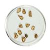 Image 1 : Gold Nuggets 2.30 Grams Total Weight