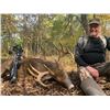 Image 15 : Missouri Archery/Crossbow Whitetail Hunt