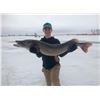 Image 2 : North Dakota Pike Spearing