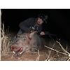 Image 2 : Texas Hog Hunt