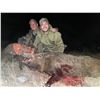 Image 6 : Texas Hog Hunt