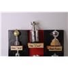 Image 3 : NHL Hockey Miniature Trophies on Home Made Stand