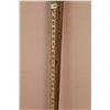 Image 3 : *Surveyors Folding Yardstick