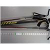 Image 1 : *(2) Pairs of Ski Poles