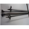 Image 2 : *(2) Pairs of Ski Poles