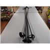 Image 3 : *(2) Pairs of Ski Poles