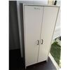 Image 1 : White Cabinet (24in x 12in x 54)