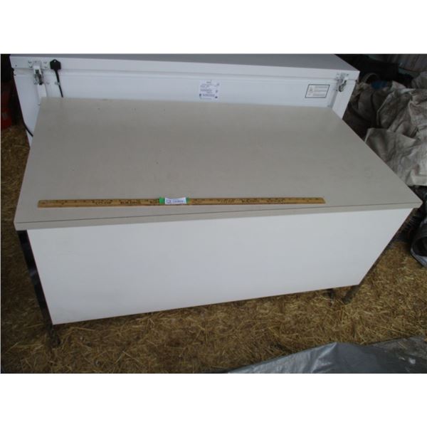 Office Desk (55in x 30in)