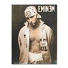 Image 1 : Eminem by "Ringo" Daniel Funes