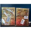 Image 1 : Lot of 2 Multi-Packs of Foil Pokemon Art Cards