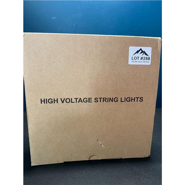 Lot of 1 High-Voltage Outdoor String Lights Set