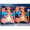 Image 1 : Lot of 2 Leather Pokemon Premium Card Binders - Holds 900 Cards per Binder (Large Size Binders)