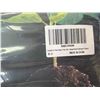 Image 2 : Lot of 2 Packs of Plant Grow Bags - 5PCS per pack