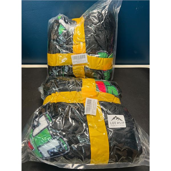 Lot of 2 Kids Plush Blankets