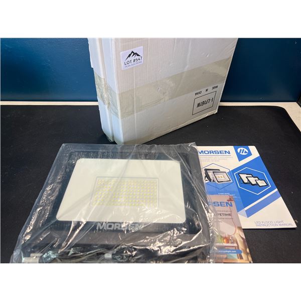 Lot of 1 Flood Light
