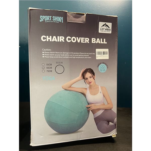 Lot of 1 Yoga Ball