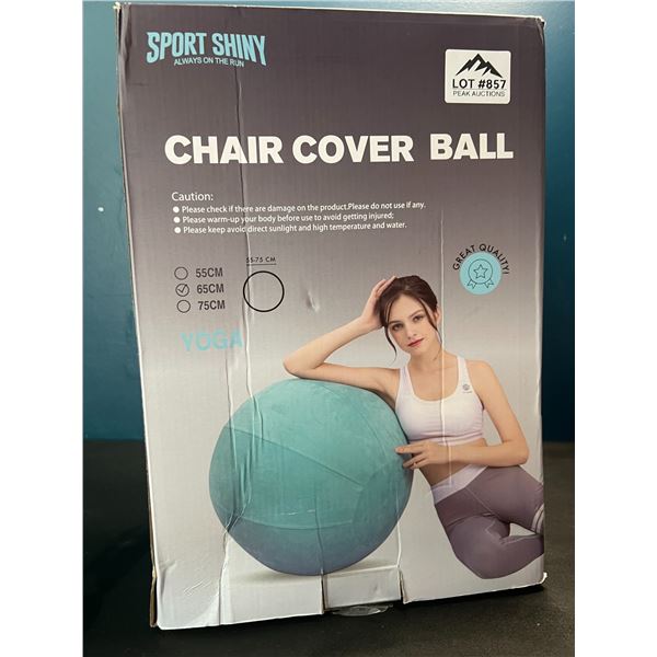 Lot of 1 Yoga Ball