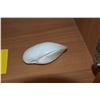 Image 2 : BONE CHINA HORSE & SHELL SCULPTURES (2 PCS)