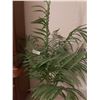 Image 2 : Fake Decorative Tree