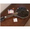 Image 1 : Savannah Mandolin Model No. SA-100-BK With Martin Bluegrass Strings