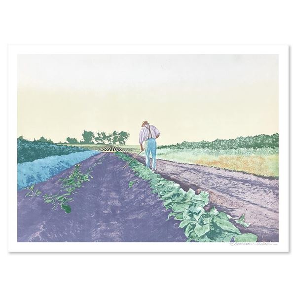 The Cabbage Patch by Nelson, William