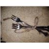 Image 5 : Silver Plated Flatware Cat A