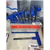 Image 2 : Hex Key Set 10pc SAE with T Handle